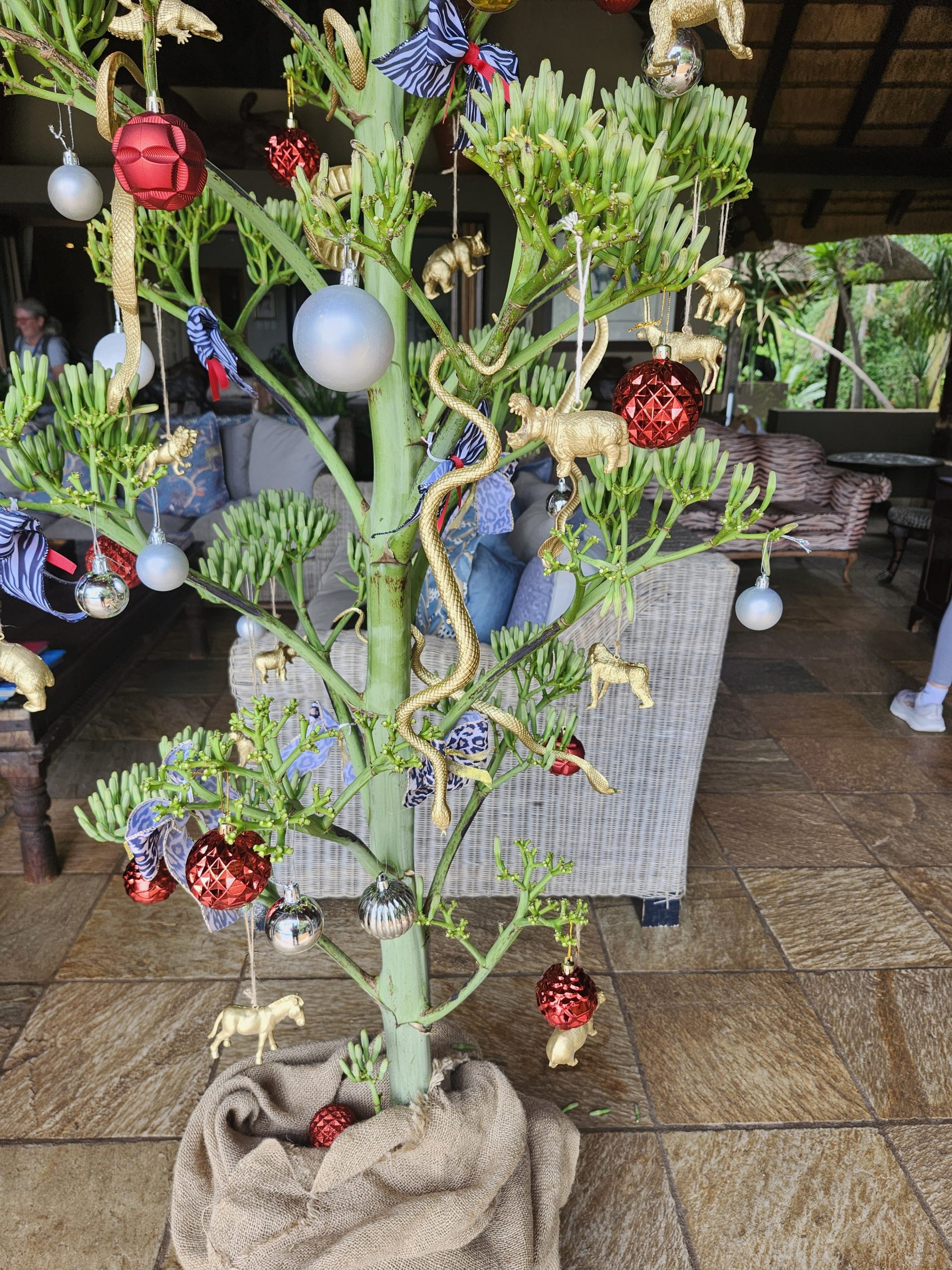 Apparantly you need snake decorations on your christmas tree