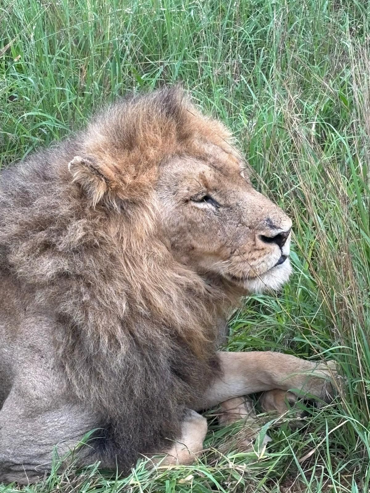 Taken with her iPhone