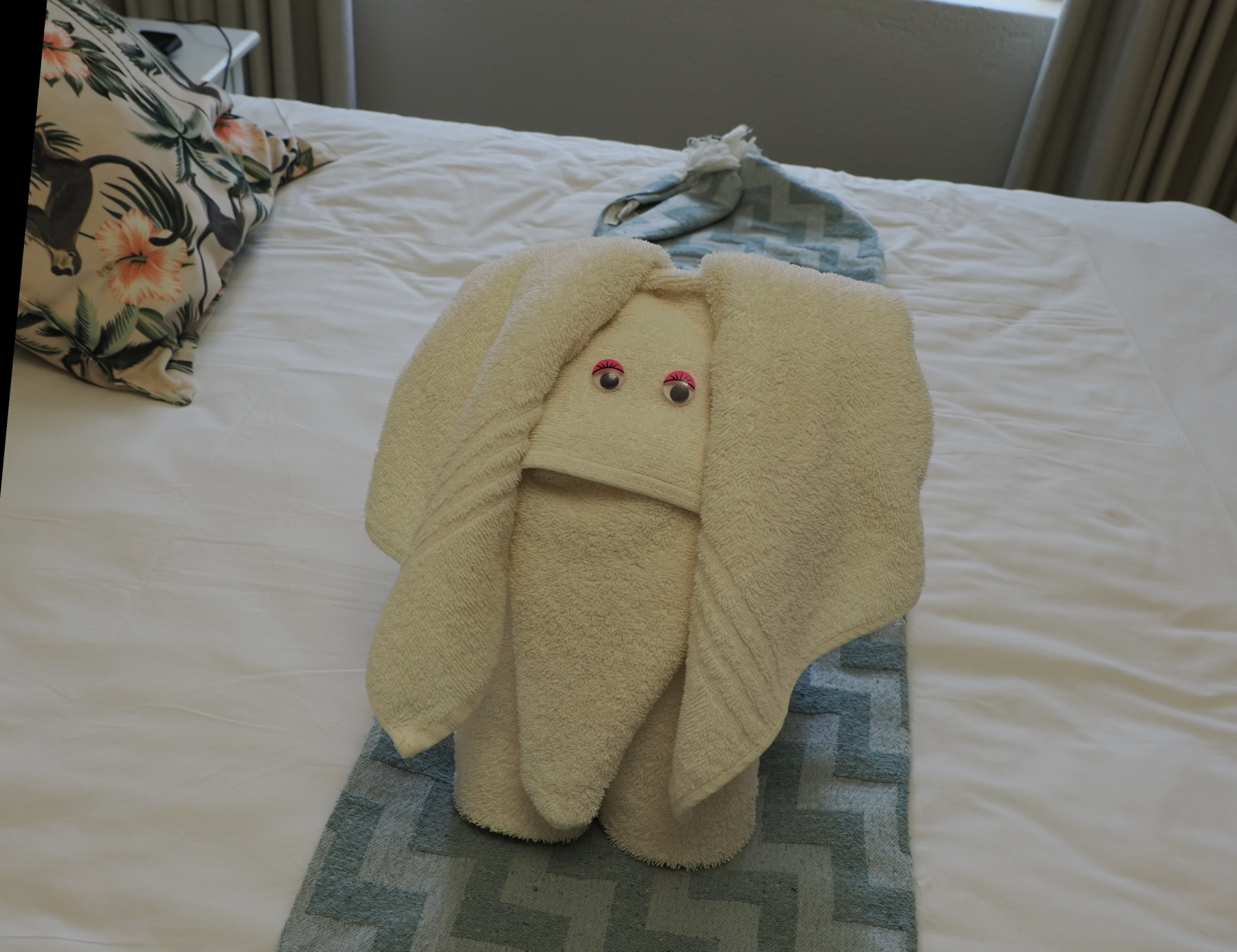 Elephant towel art in our room