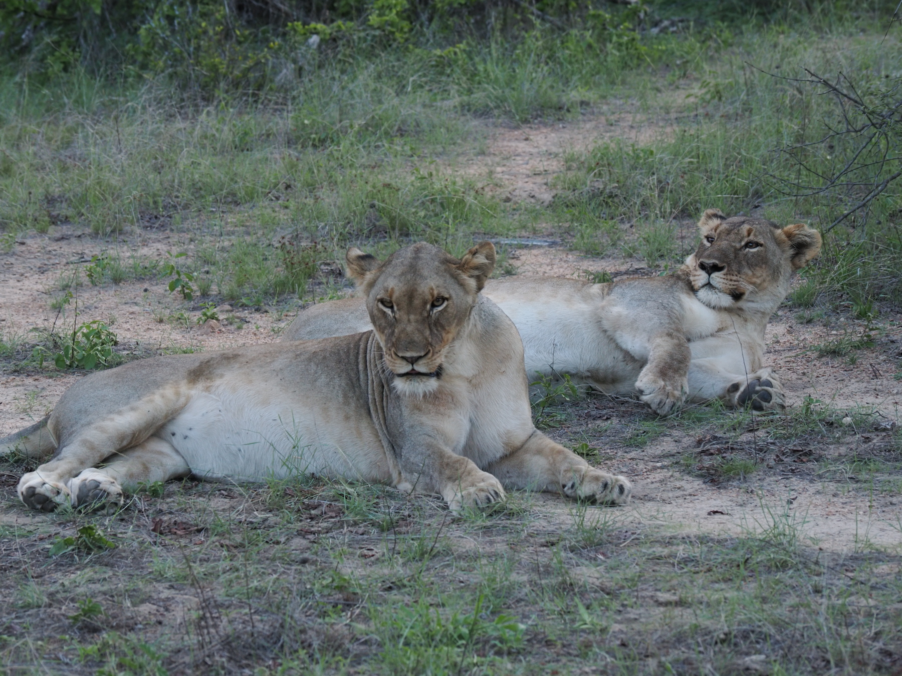 maybe if I lay this way for a while...