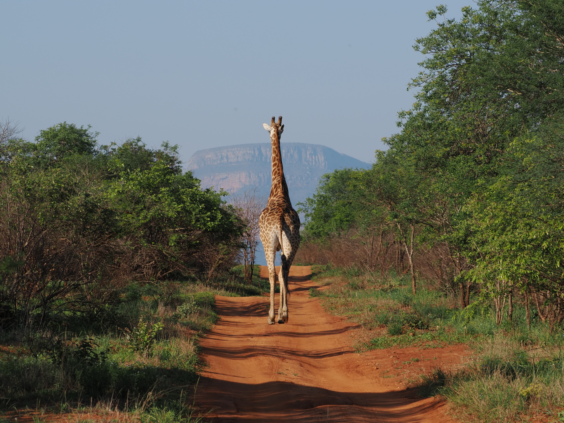 its easier to walk on the road