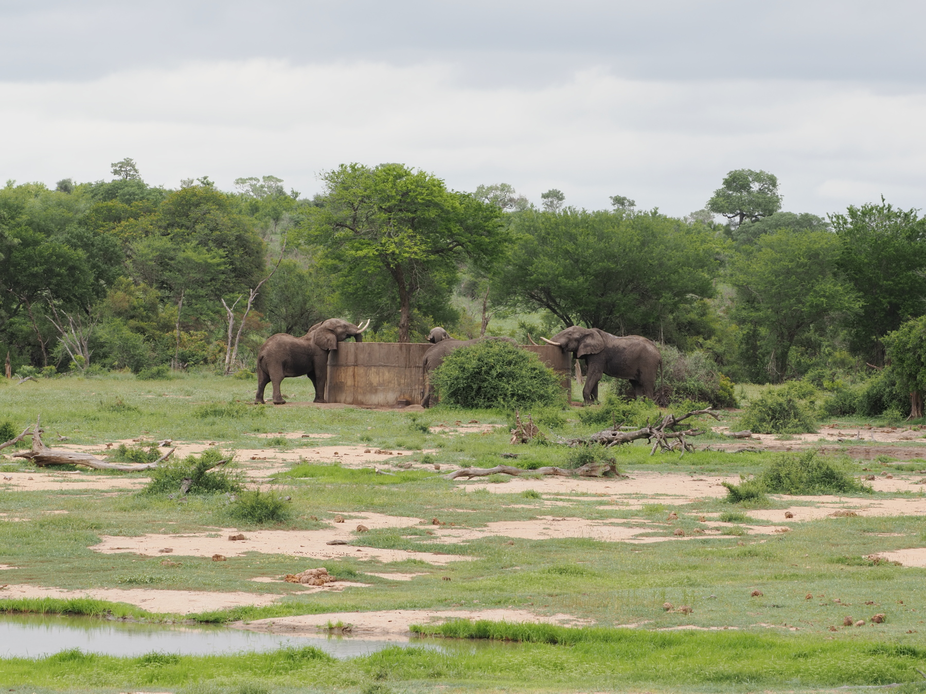 You need to be taller than this sign