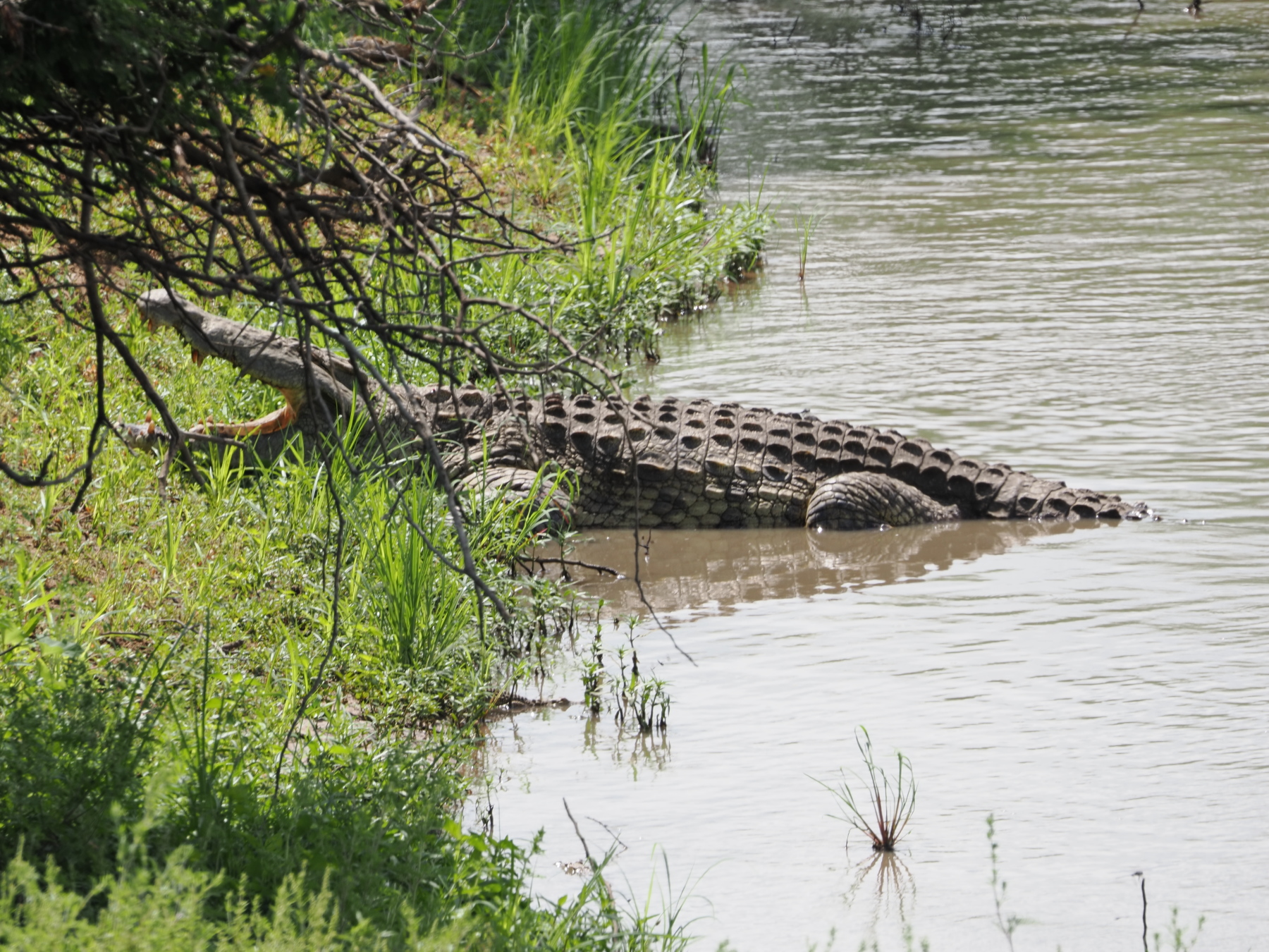 cooling off in the afternoon heat