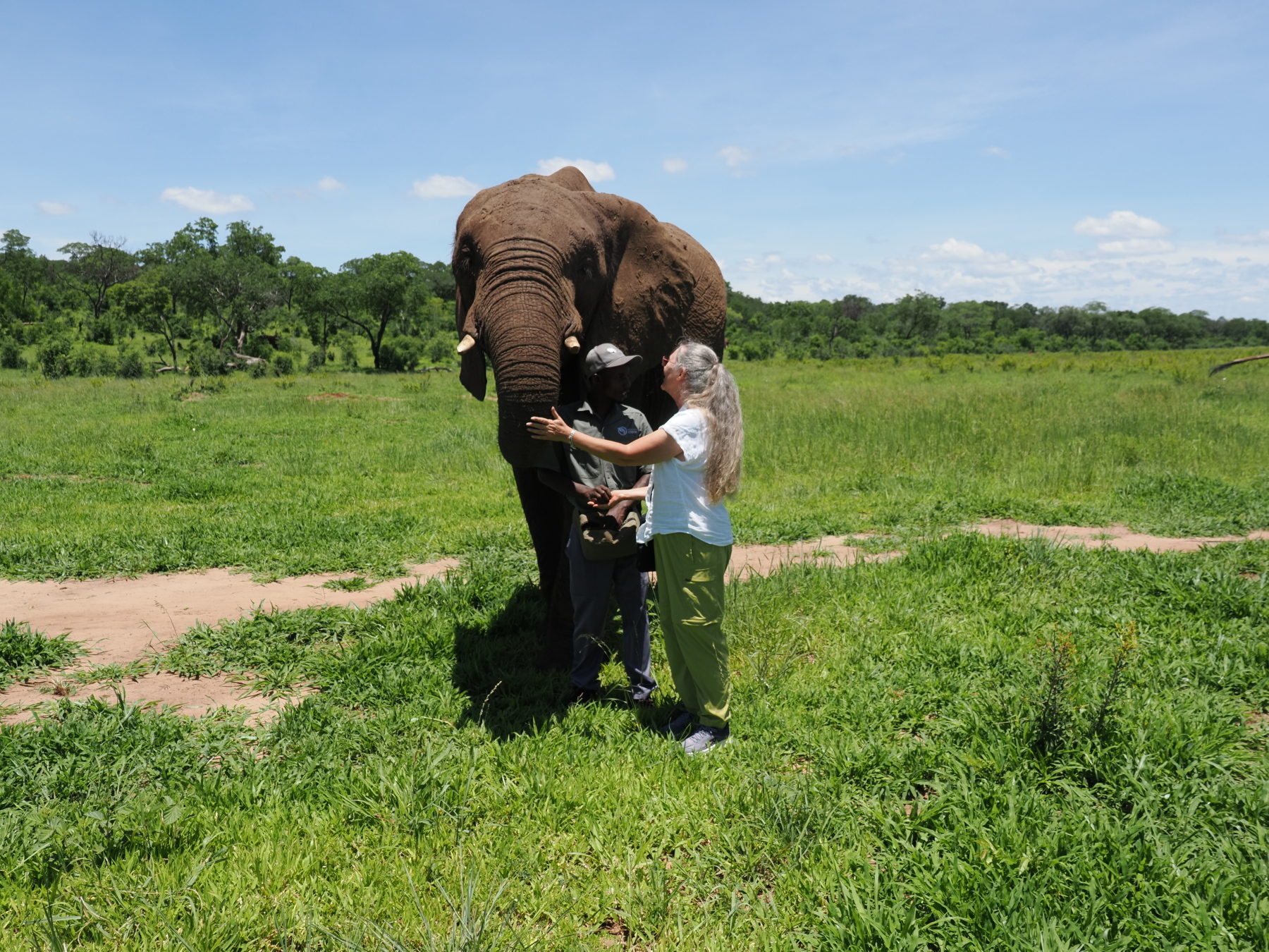 Vic with her elephant
