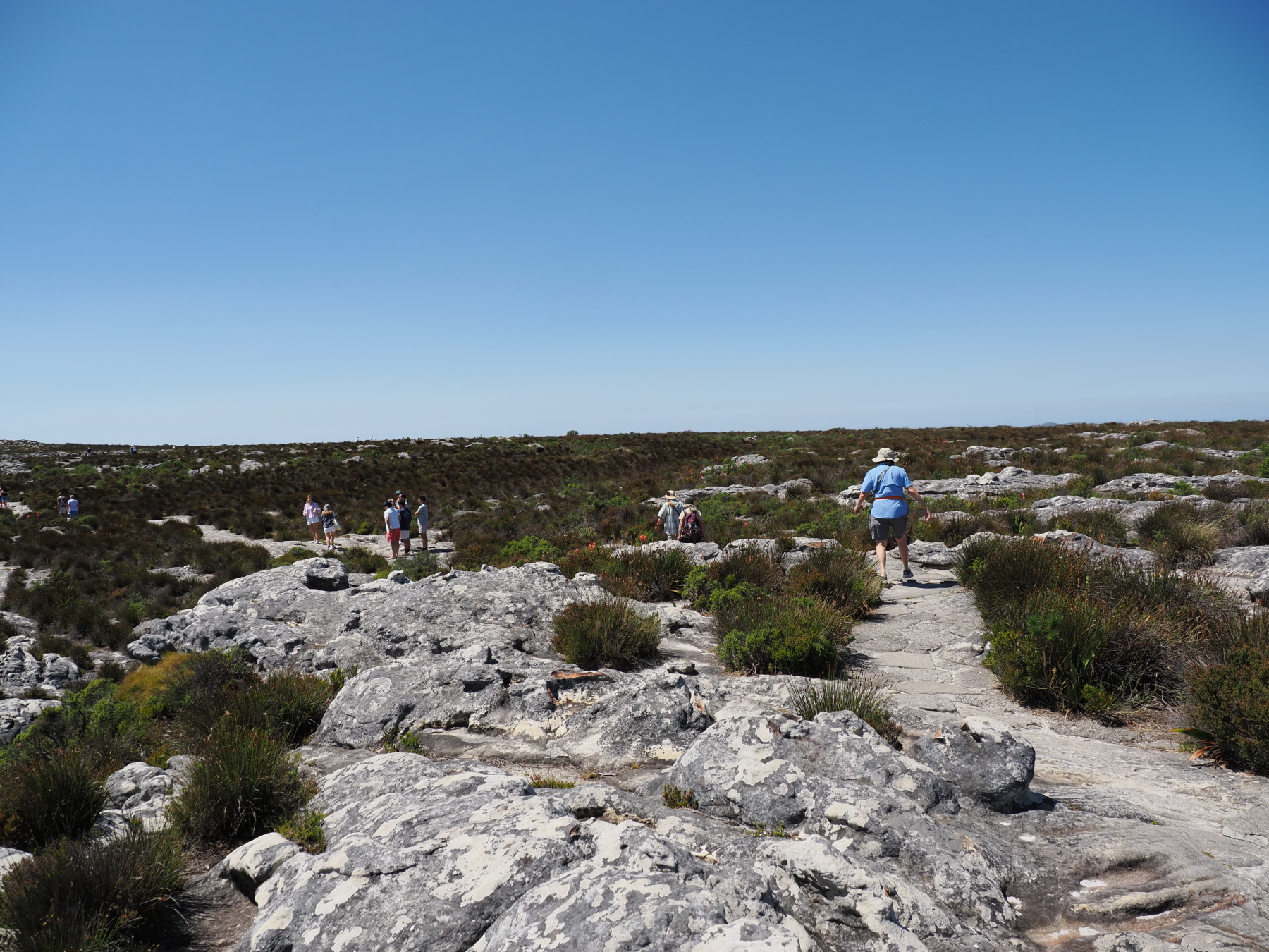 Yes, it really is flat on the top of Table Mountain