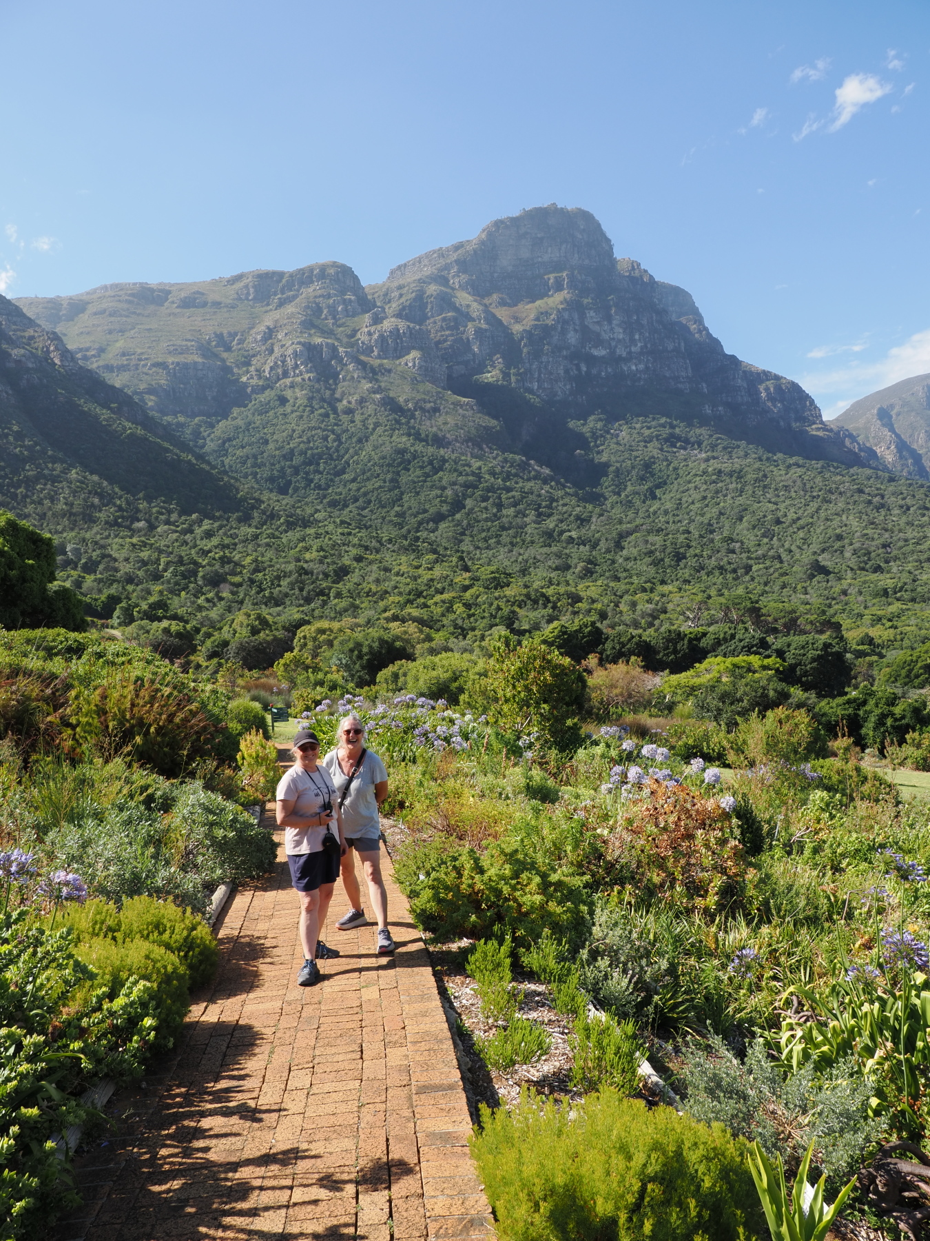 Kirstenbosch National Botanical Garden. The highest peak is south east end of Table Mountain