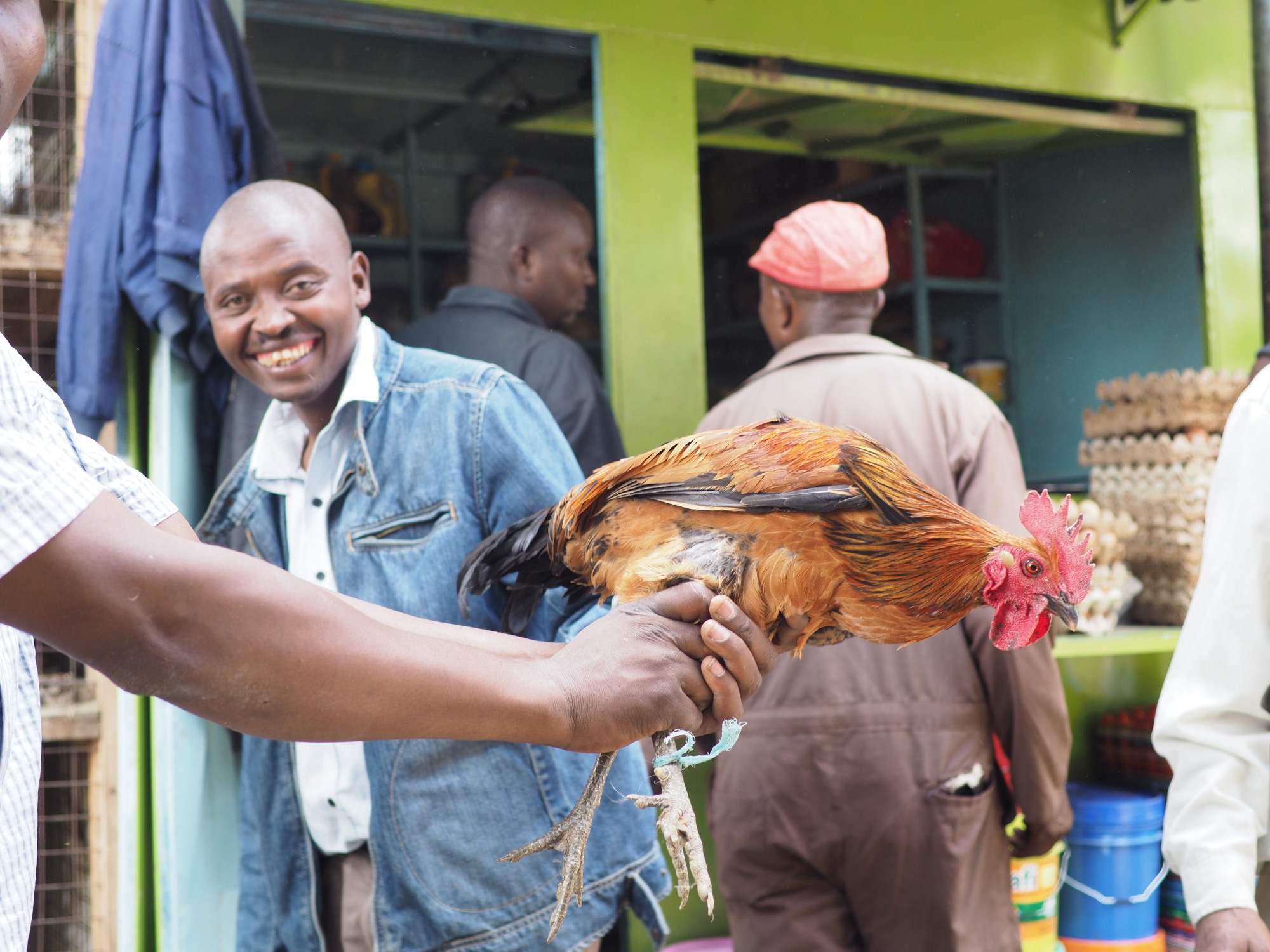 Selling pet chickens in Arusha