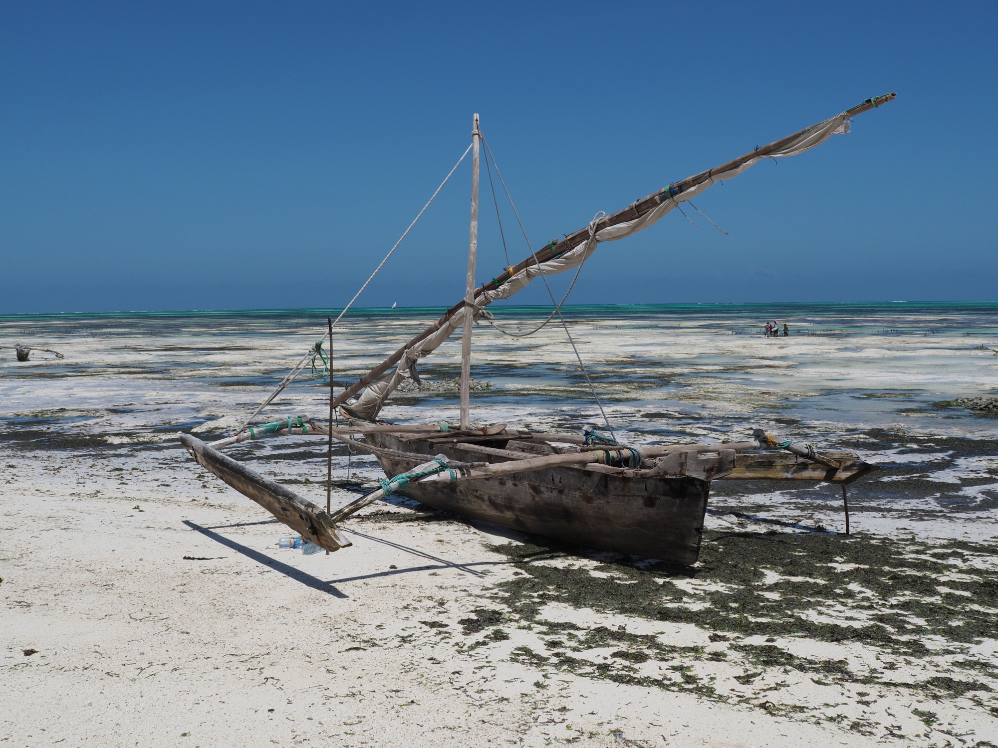 One of many Dhows at low tide