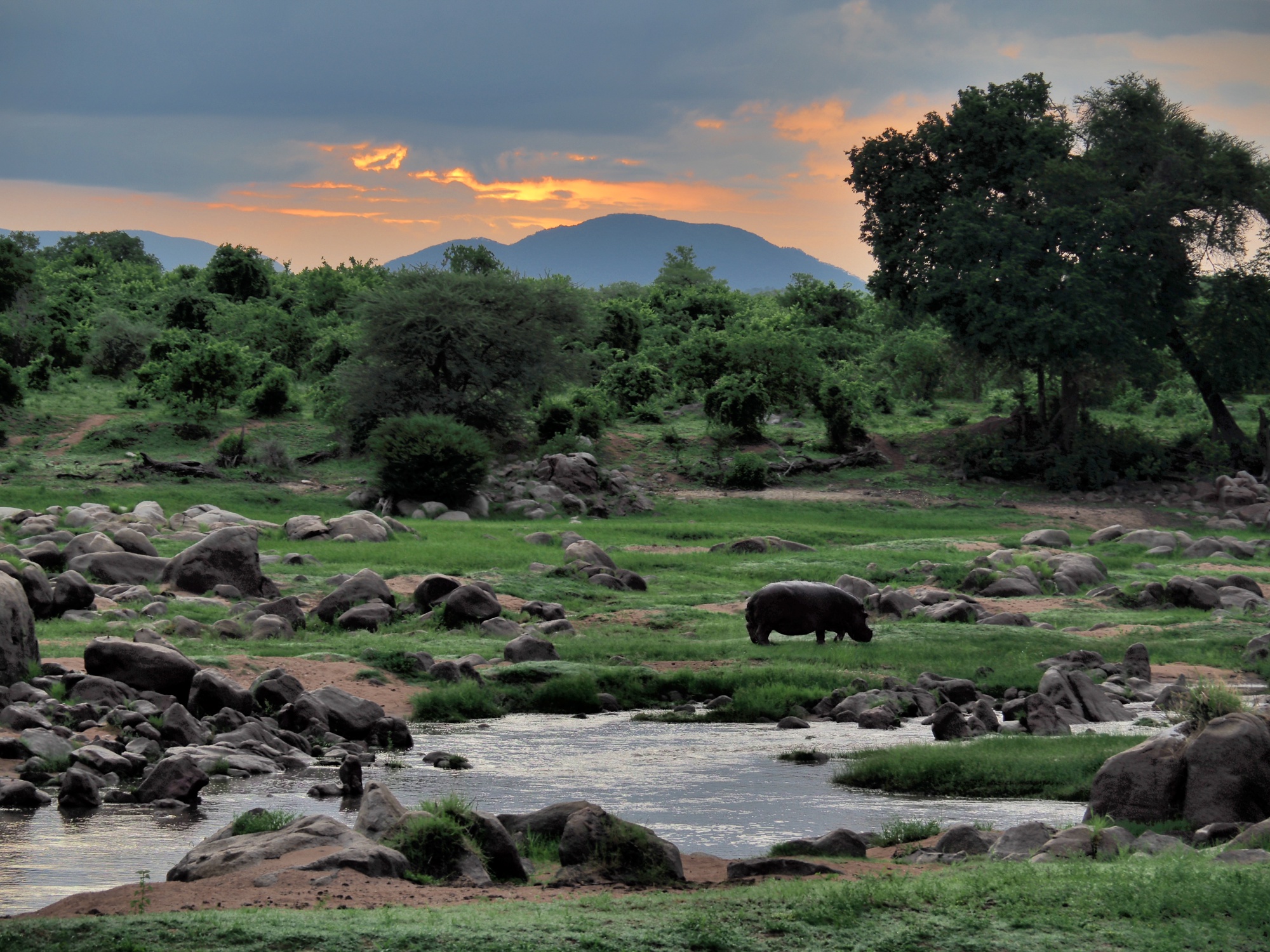 View off the balcony at the Ruaha River Lodge