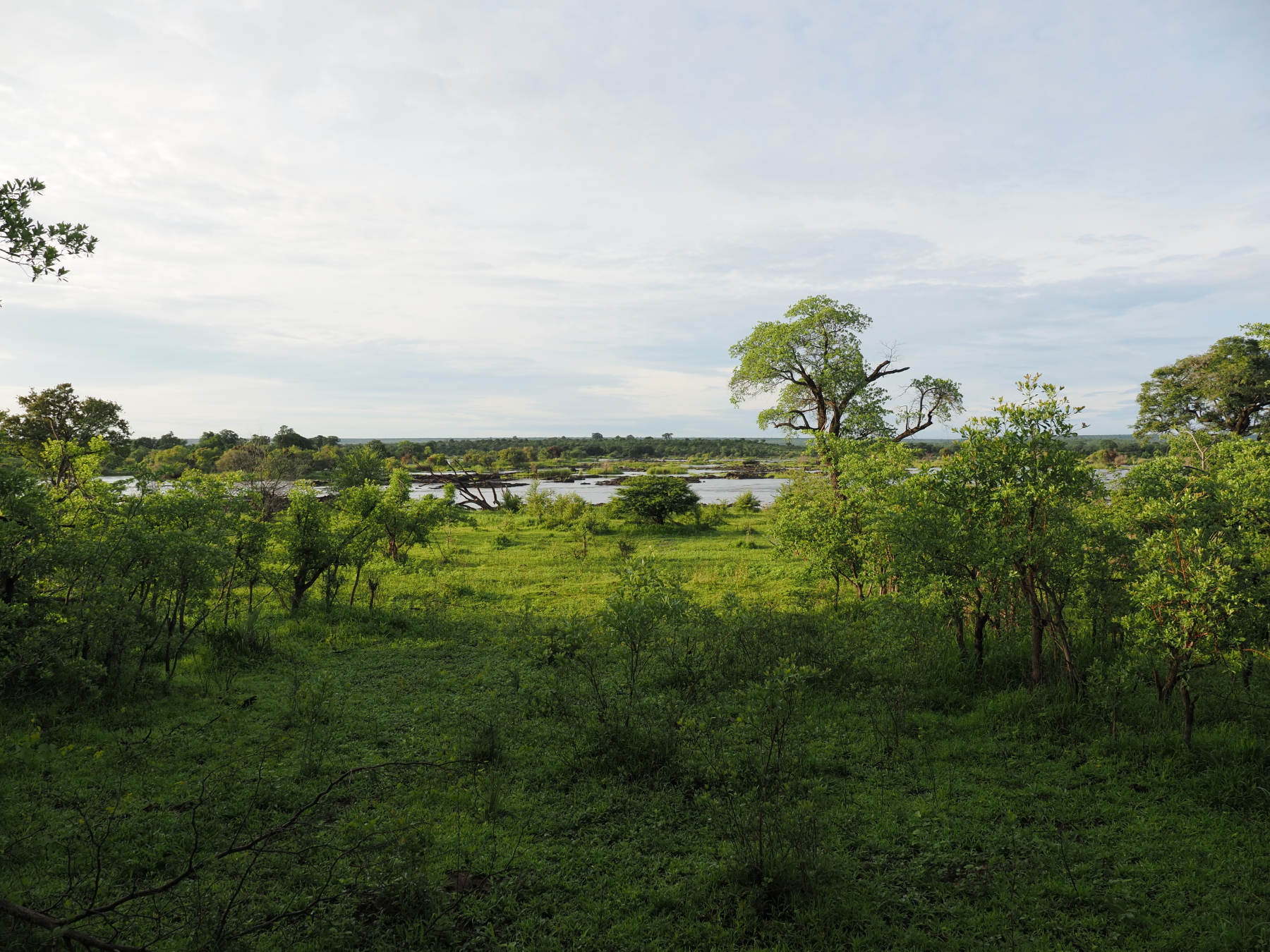 The view from our room. 