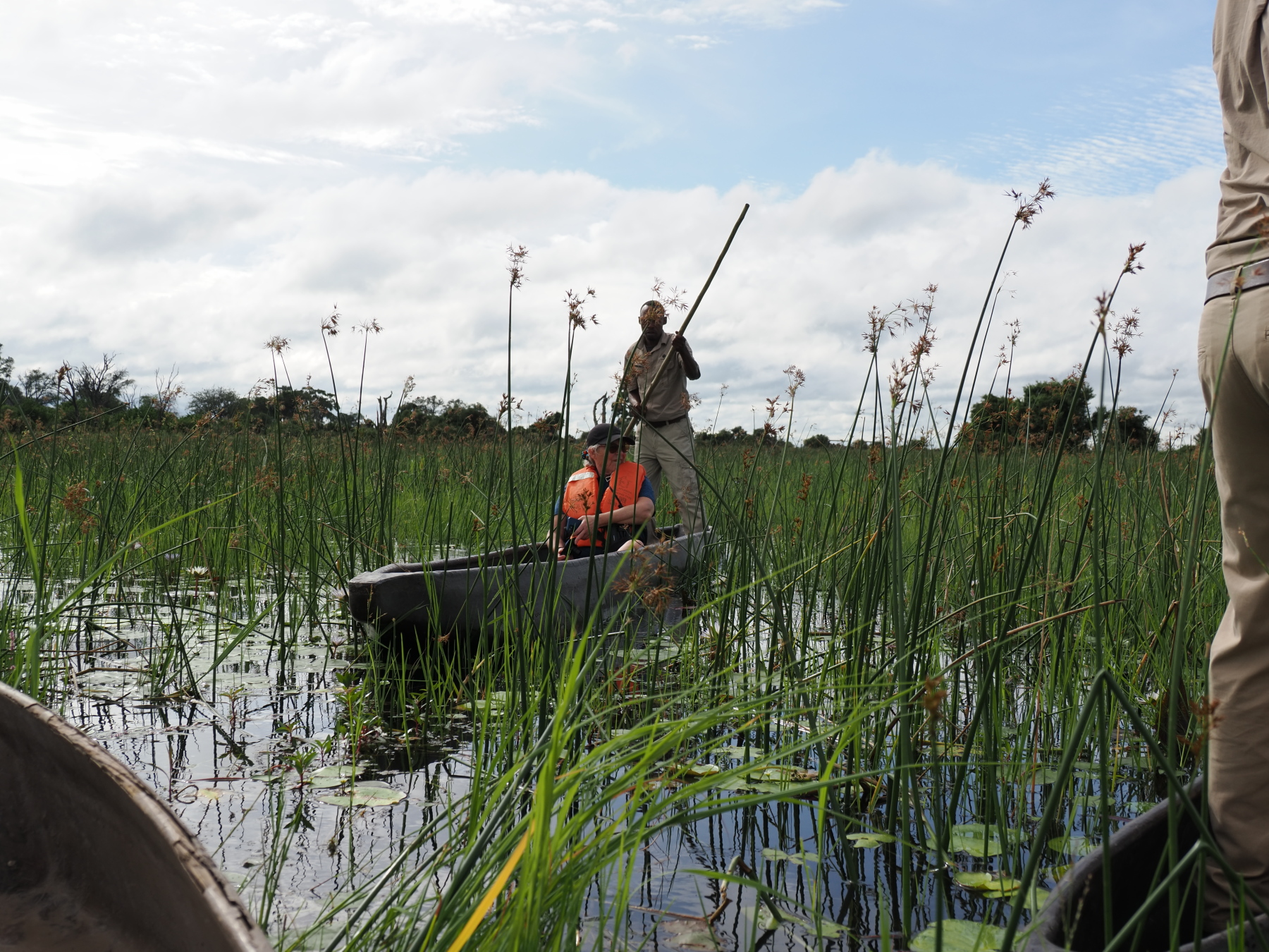 poling down the okavango delta