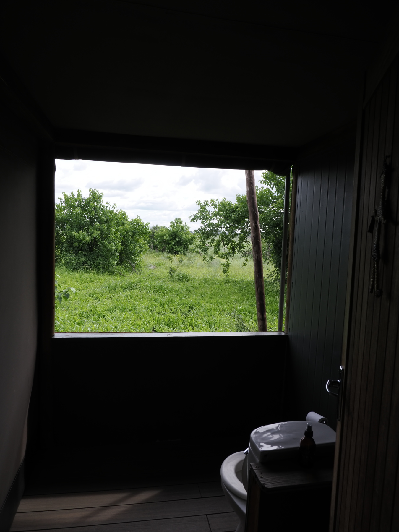 THis is the view from the main washroom in the central area. Yes, there is no window there. 