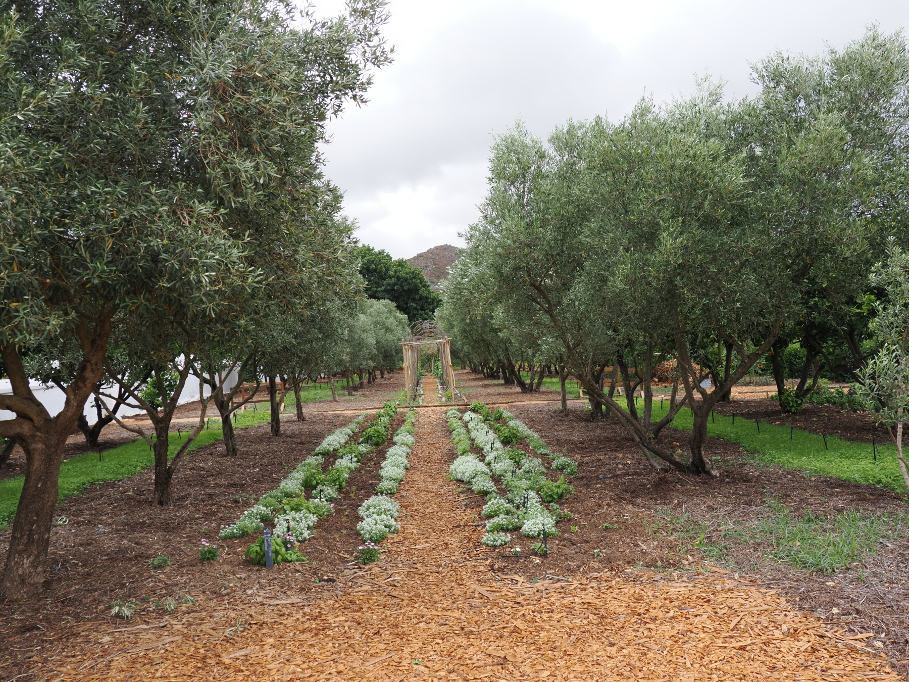 Babylonstoren - Sarah loved it