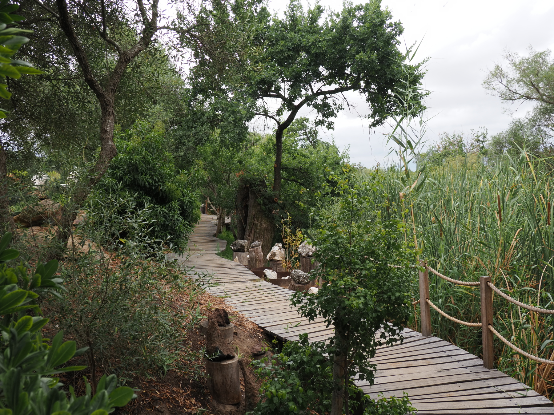 Babylonstoren - acres and acres of gardens with every plant imaginable