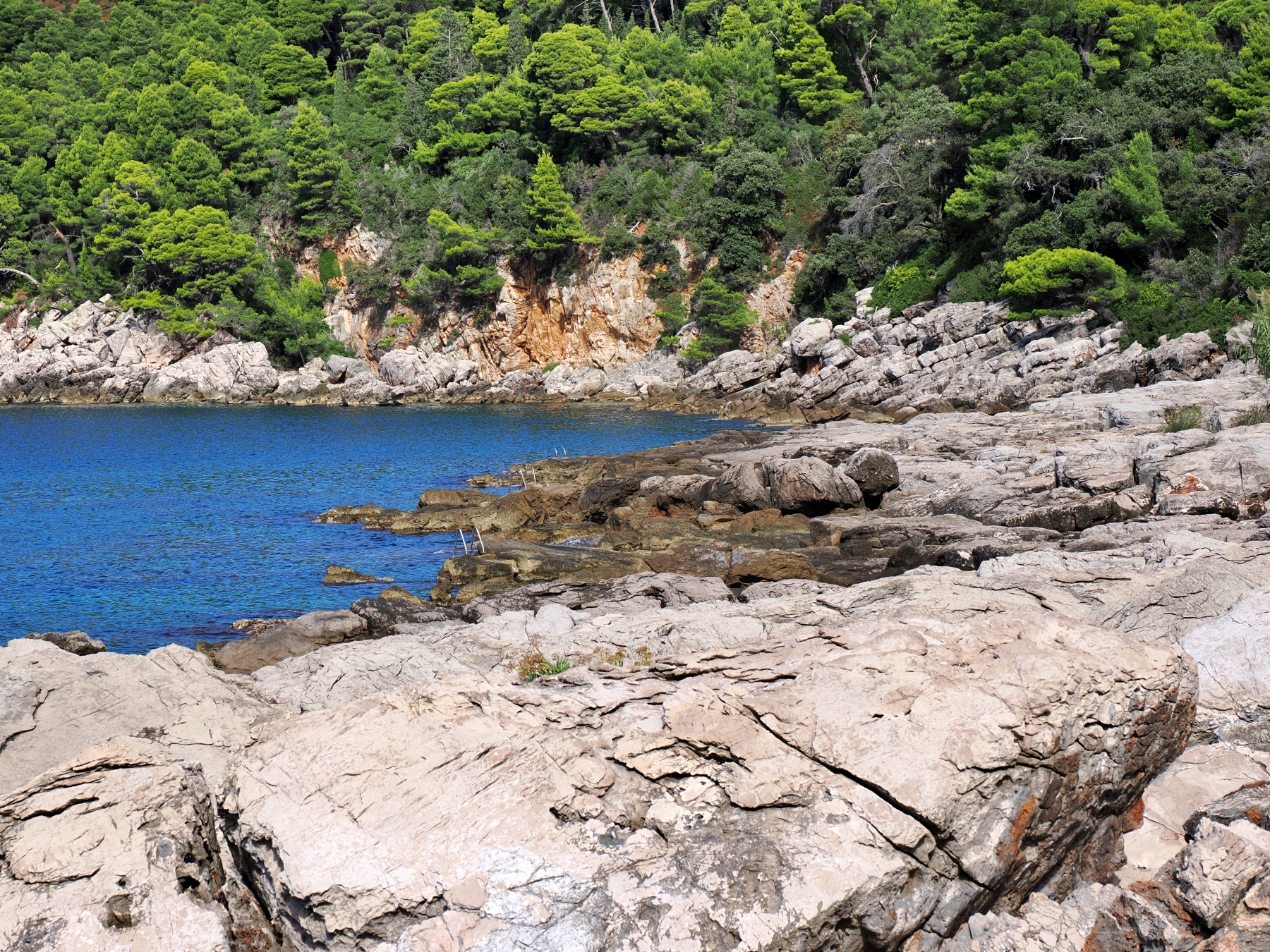 lots of ladders to make swimming easier from the rocky shore